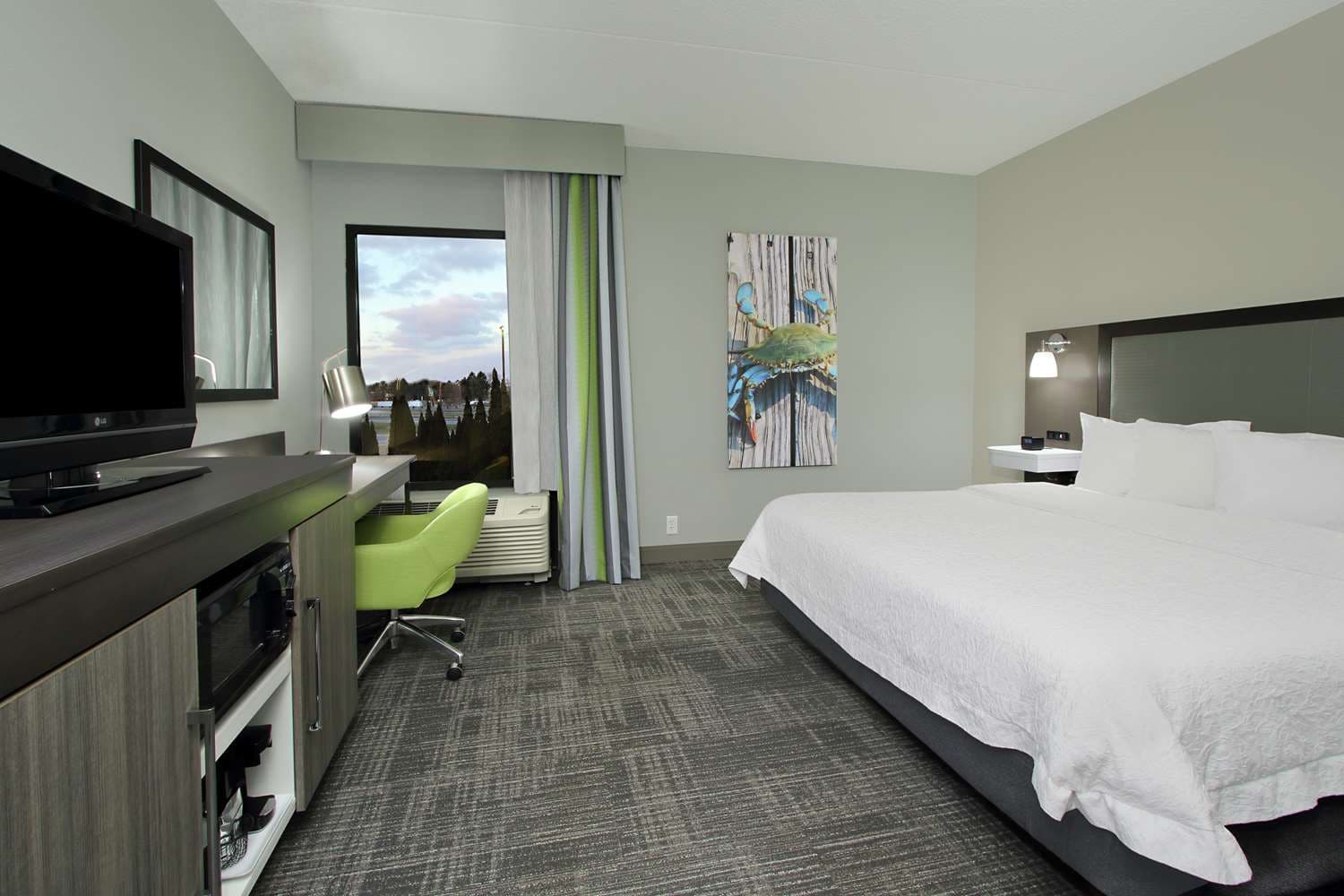 Hampton Inn Hagerstown-I-81